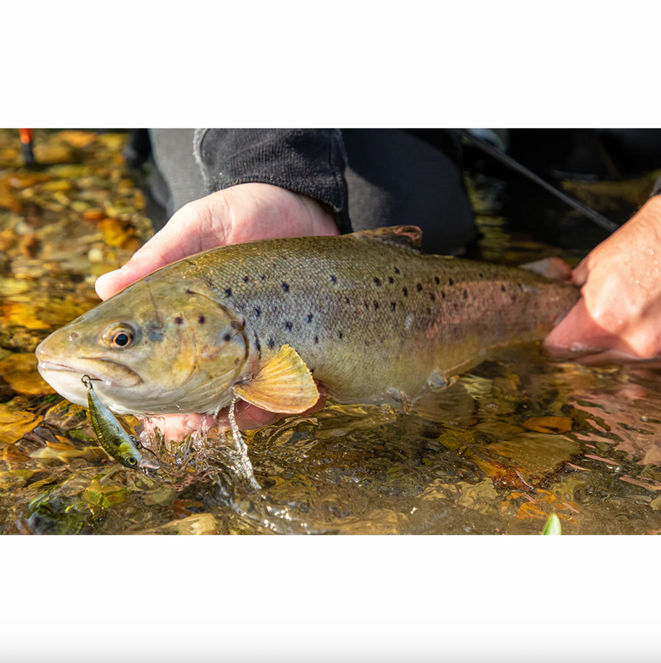 Savage Gear 3D Sticklebait Twitch Sinking Lure (6.5cm/9.4g Ayu Green Silver) - Image 2