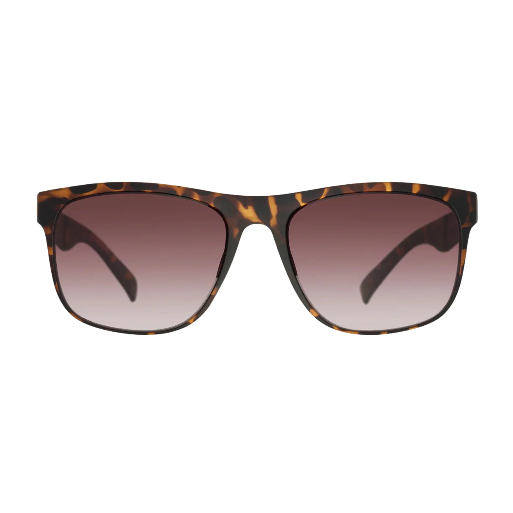 Bloc Eyewear Elba Sunglasses (Brown Graduated Lens/Matt Tortoiseshell Frame) - Image 2