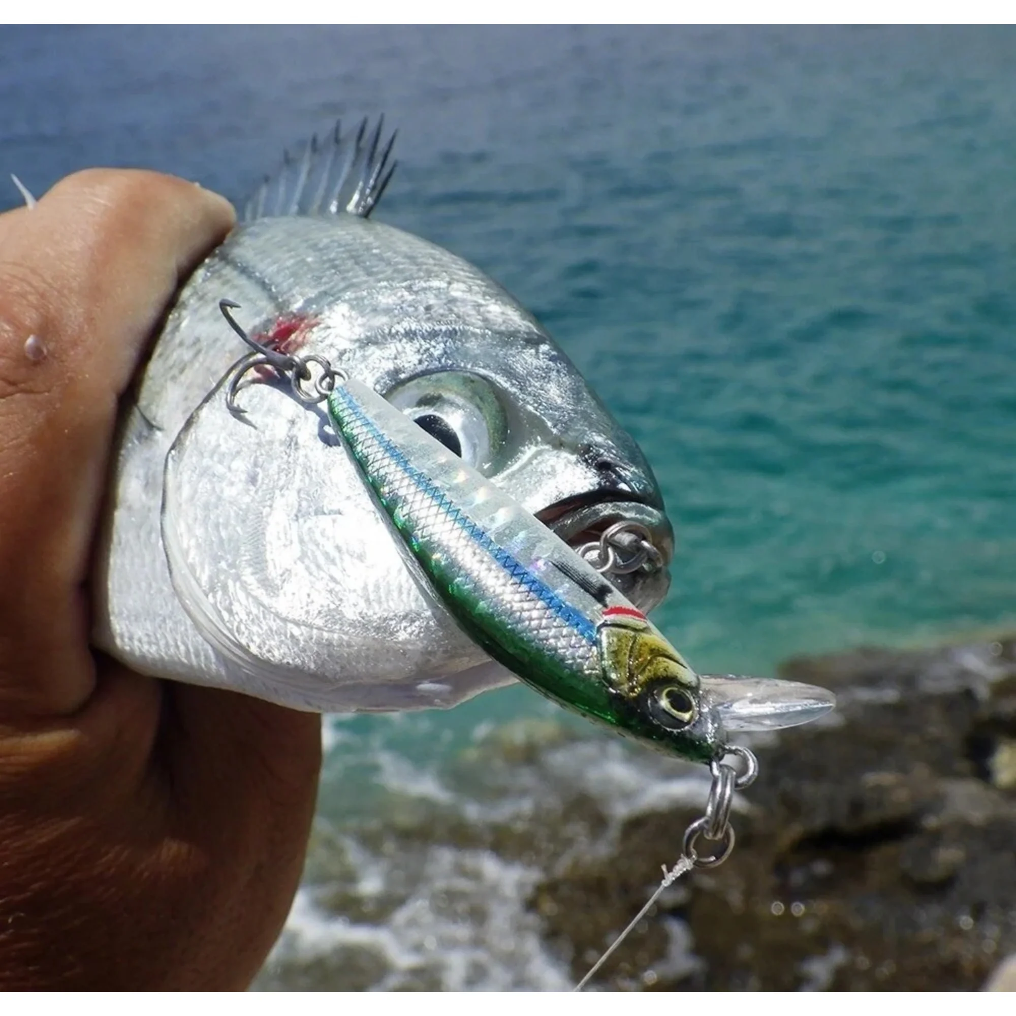 Savage Gear Gravity Minnow Wobbler (5cm/Sinking/4.3g)(Saddled Bream) - Image 2