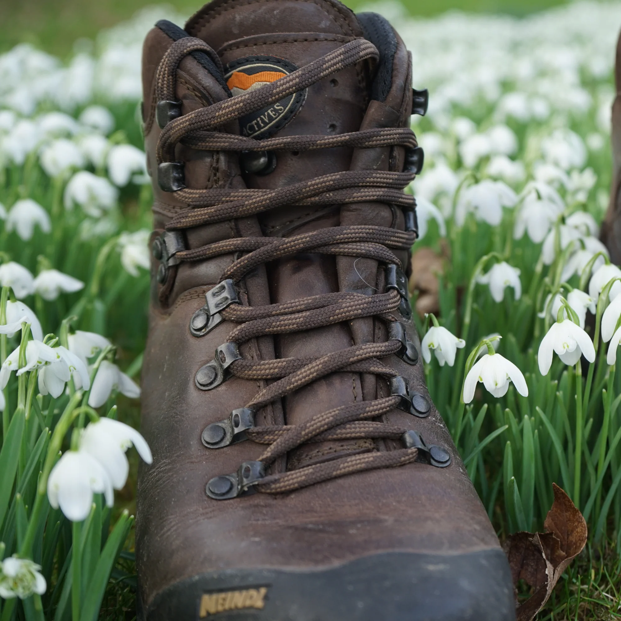 Meindl Men's Kansas Gore-Tex Hillwalking Boots (Old Loden) - Image 3