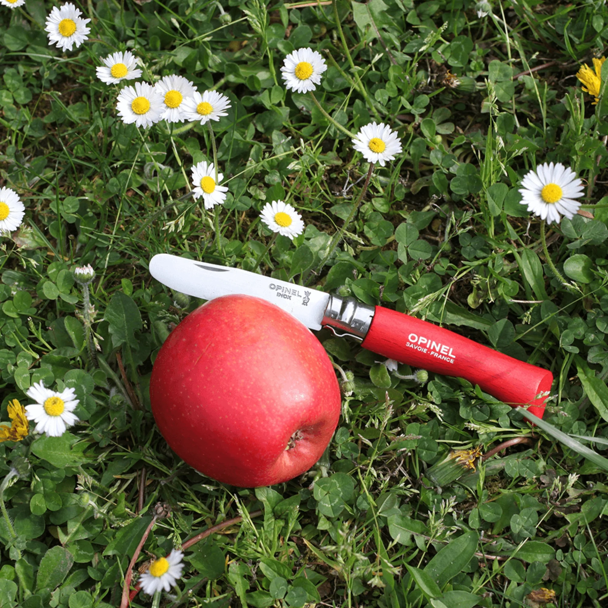 My First Opinel Kids #7 Stainless Steel Round Ended Knife (Red) - Image 3