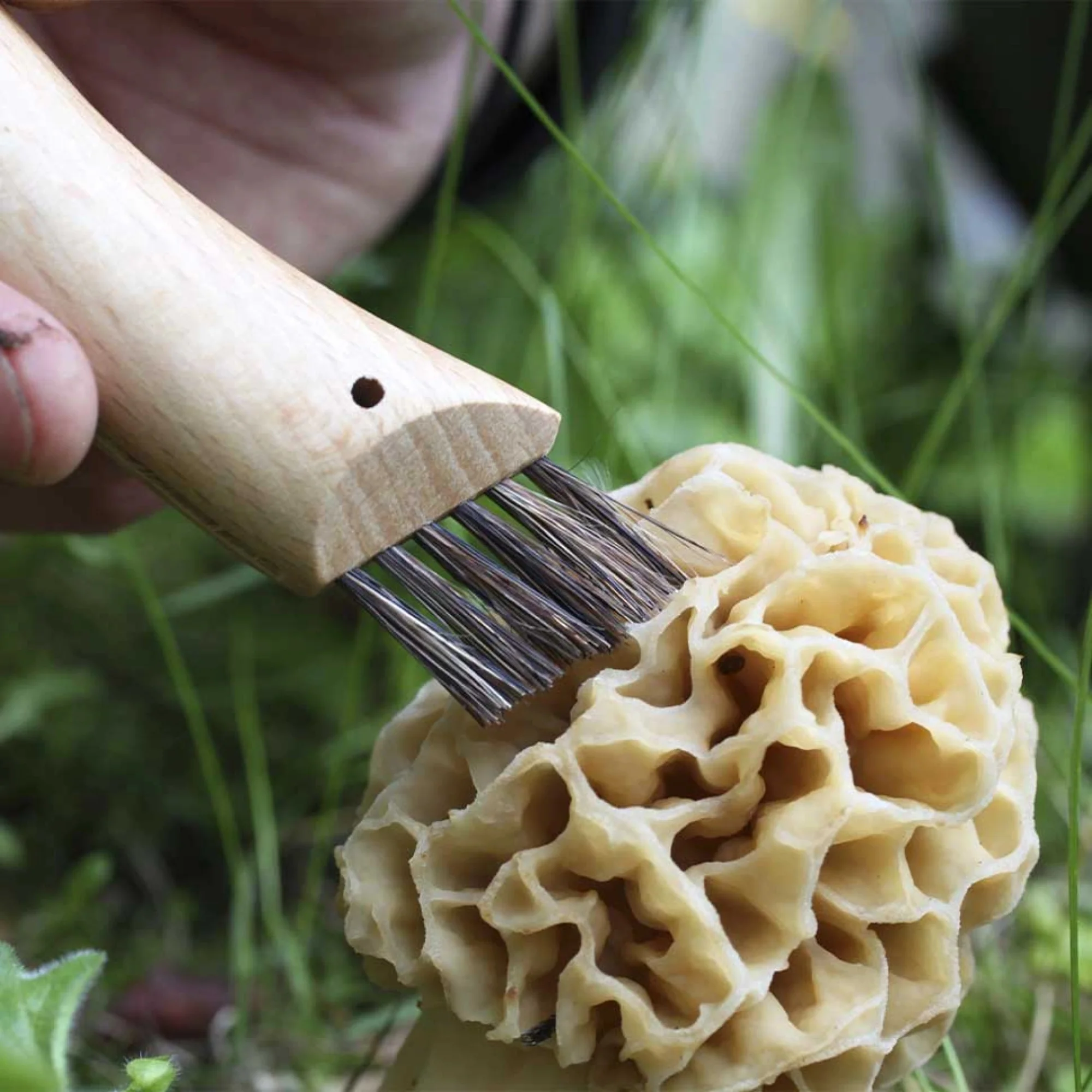 Opinel #8 Mushroom Knife - Image 6