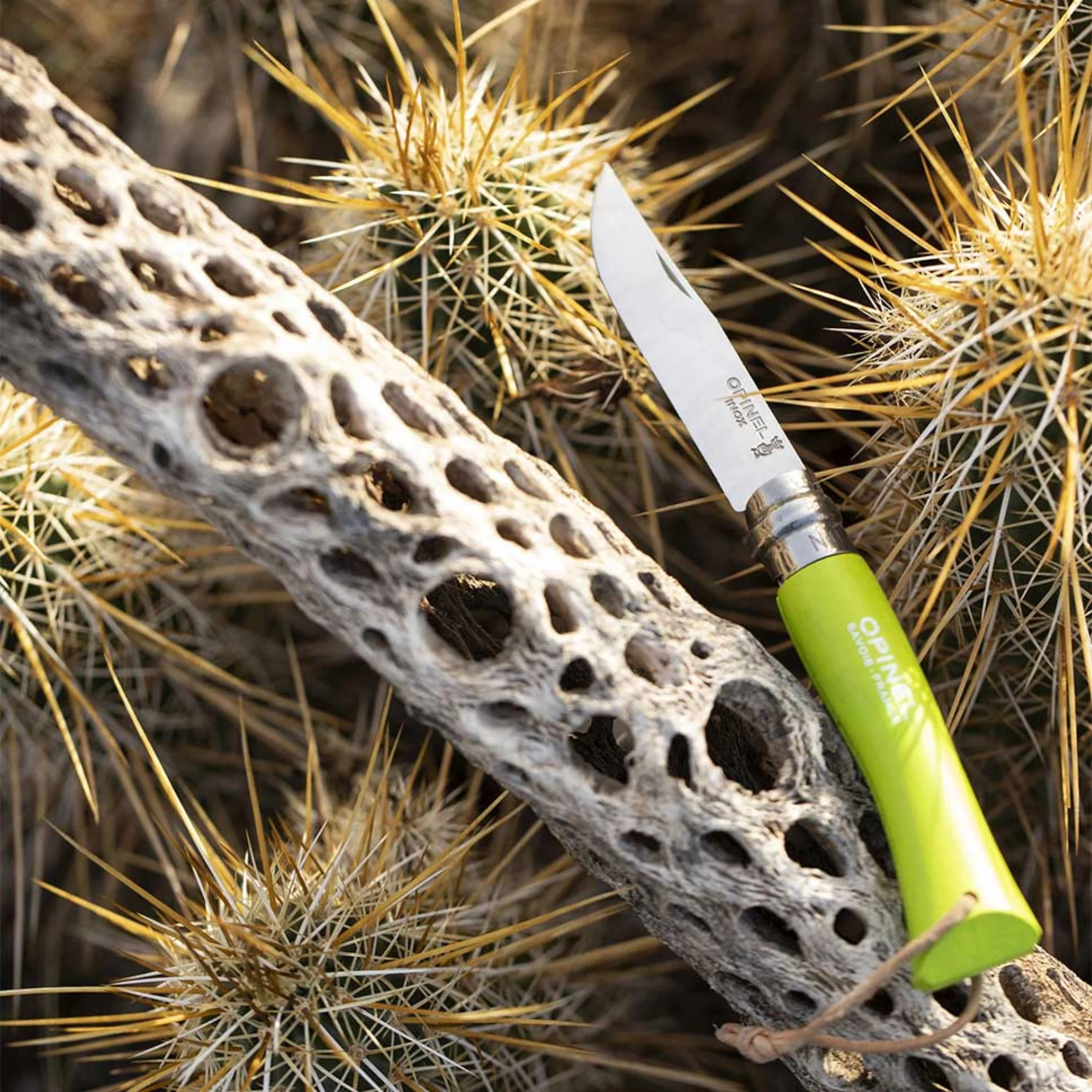 Opinel #7 Stainless Steel Bushwhacker Trekking Folding Pocket Knife (Aniseed) - Image 8