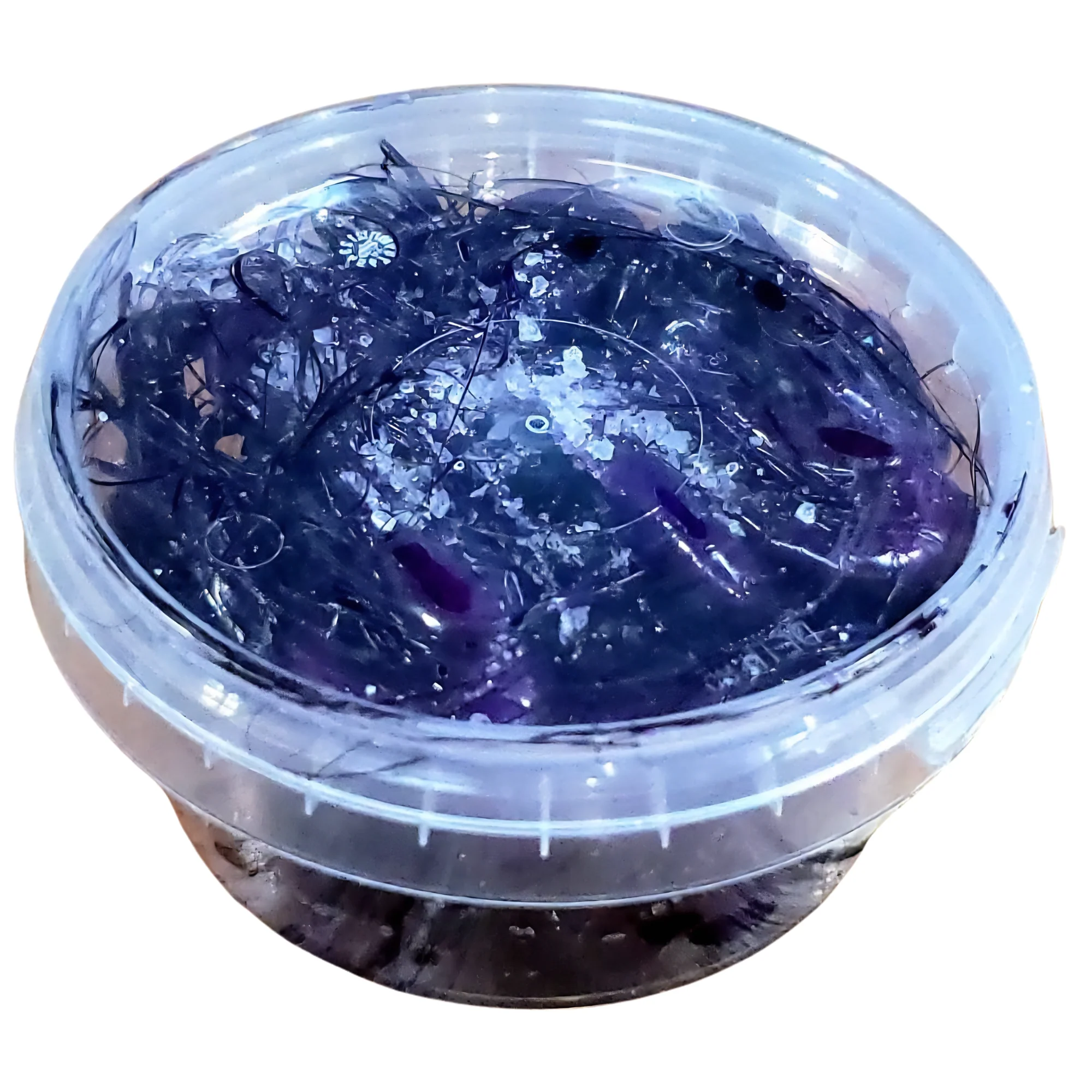 Preserved Shrimp (Purple)