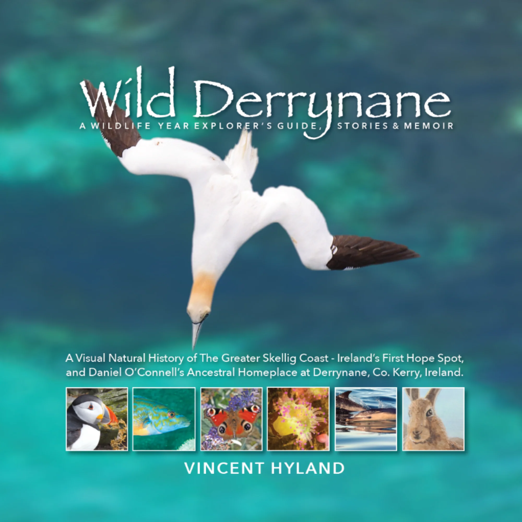Vincent Hyland's Wild Derrynane Book - Updated Version (Hardback)