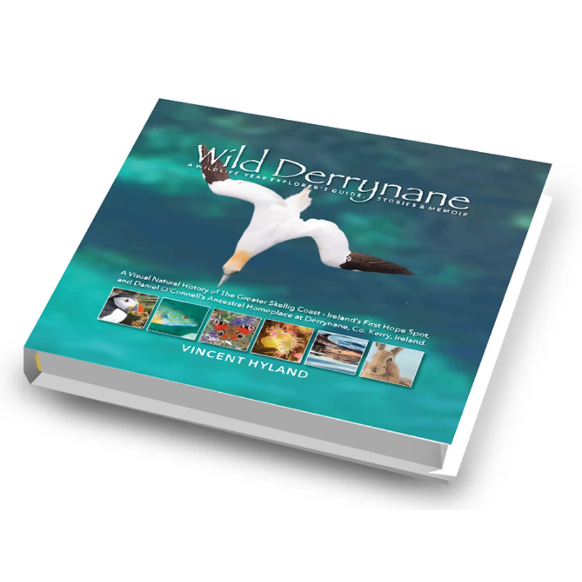 Vincent Hyland's Wild Derrynane Book - Updated Version (Hardback) - Image 2